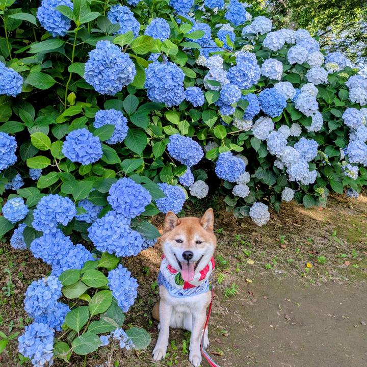 7a908075 22b9 456e ac28 b2cdcf4d9c2a 1750733826633