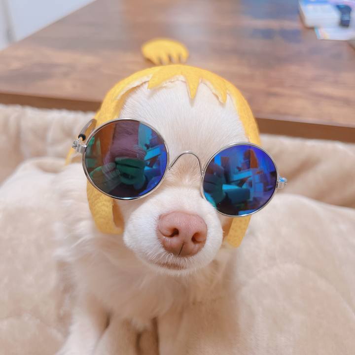 7a90aef5 1b99 407b 9b85 dd0ecd41d321 1674299316642