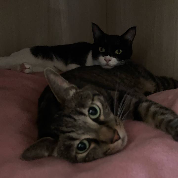 7a90bac6 1345 4432 b975 a19fe1924993 1621322350465