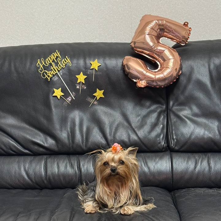 7a910d69 b149 4a1b 88cf 7cfdef8d288e 1763860765876