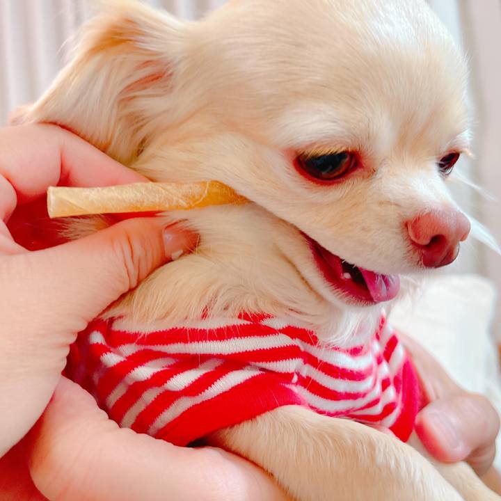 7a911db8 6492 4e6c 9523 3434d7d2d8d3 1647779242356