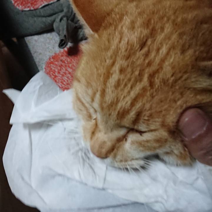 7a912fb8 2337 4c84 b093 8571a5e590c4 1583661599520