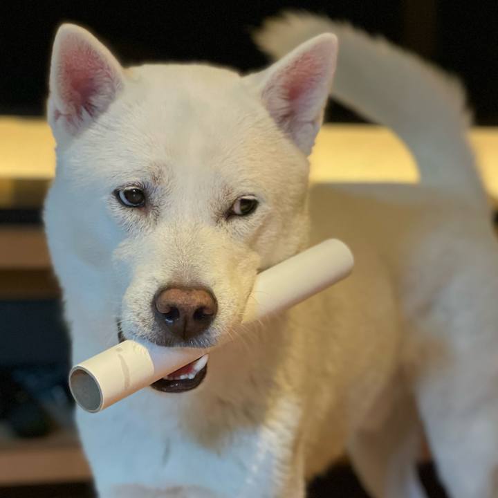 7a913e2f 7043 4321 9ee5 a1a590ae6c06 1646439245635