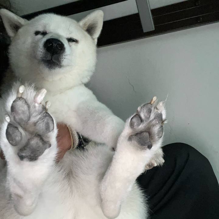 7a915146 7849 483d 9aba dce69fb832a6 1727597290149