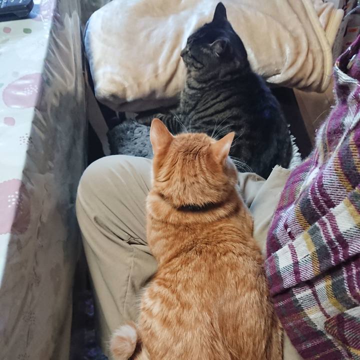 7a915f2e 2e9b 4c63 93ab 65b5723af5a6 1641800149647