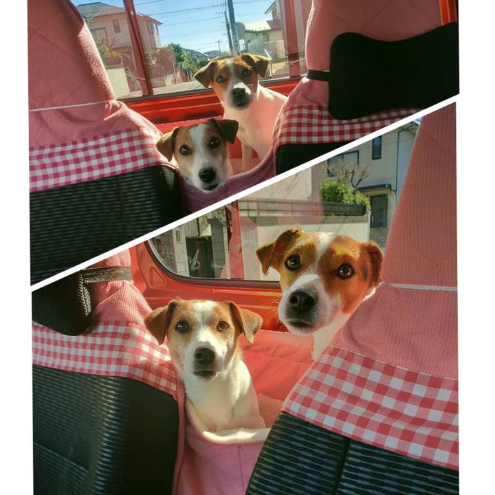 7a91690a d83d 4fe4 8589 e0715afdb486 1768209156323