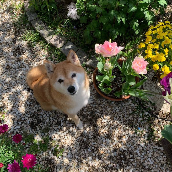 7a916b08 5075 4120 a22a 9e5613974888 1587038799917