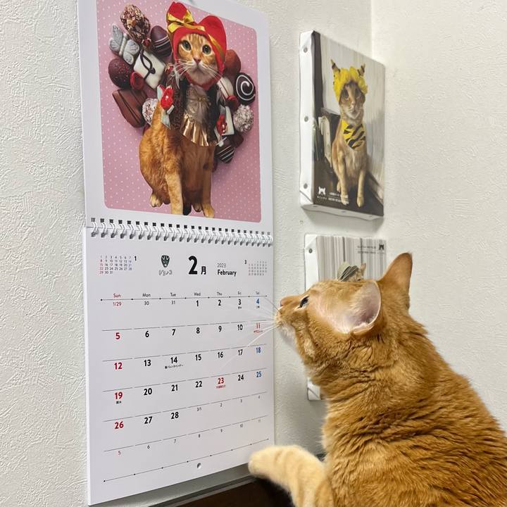 7a9196f6 c231 41cb 8ce8 4f9faa9abde8 1675201499331