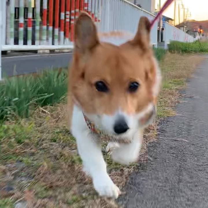 7a91c470 7c69 4ccd ba9e ce0442c3abfe 1671005665477