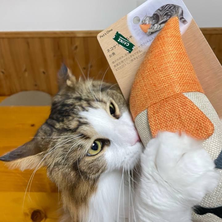 7a91e9a0 2970 47a0 9f00 e62b8602c5e0 1678966460497