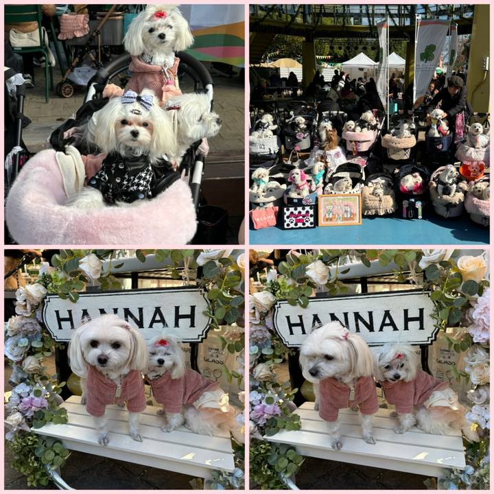 7a9211a8 c46b 4e0b 913b 6fc00417dff6 1732367381794