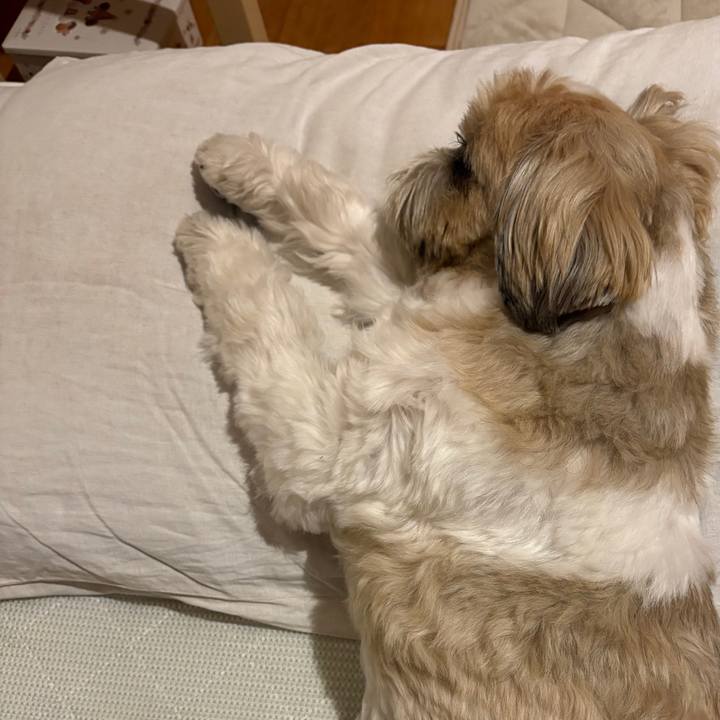 7a92140e e429 4b9b bdf0 b0ce81e31825 1768821961689