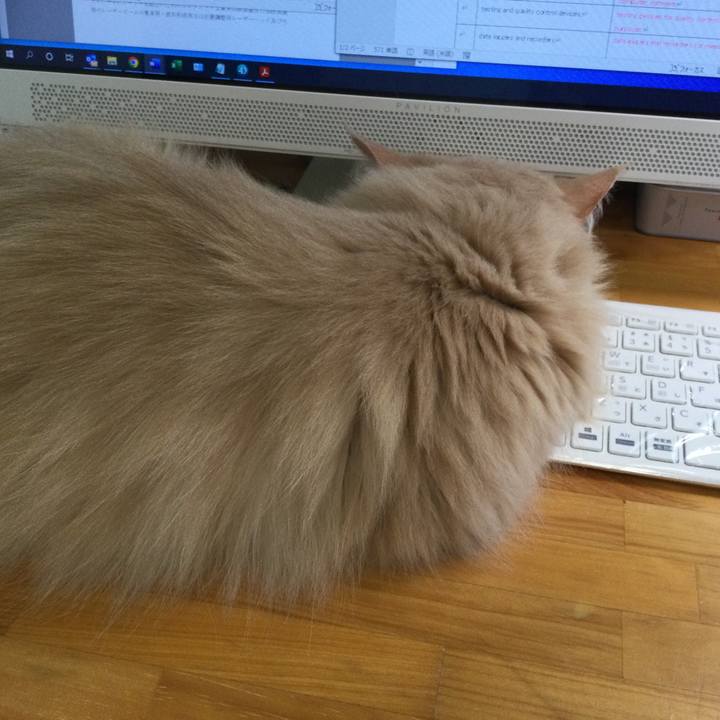 7a9227aa 3093 4508 aab1 351ba63ed876 1650980118265