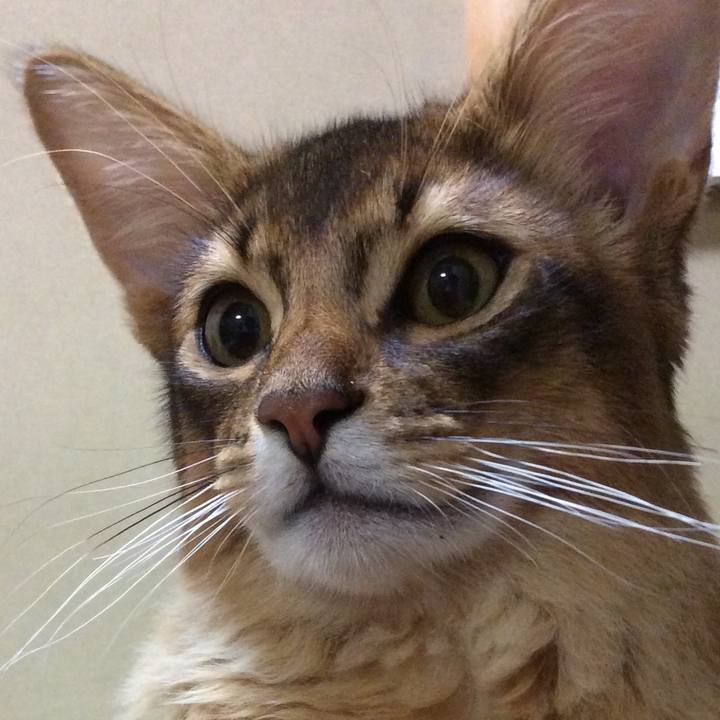 7a923446 1690 4c9d 8bf9 7f82d12e2ce0 1578483813033