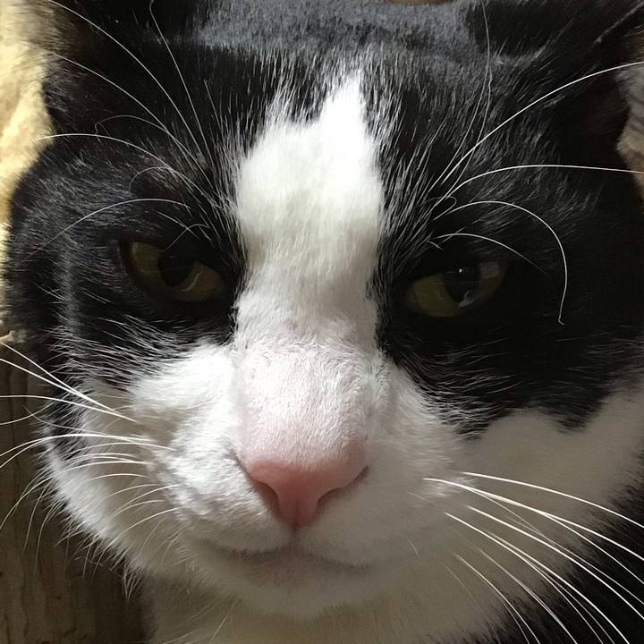 7a923594 4750 4c11 afd5 af35617569be 1739538990501