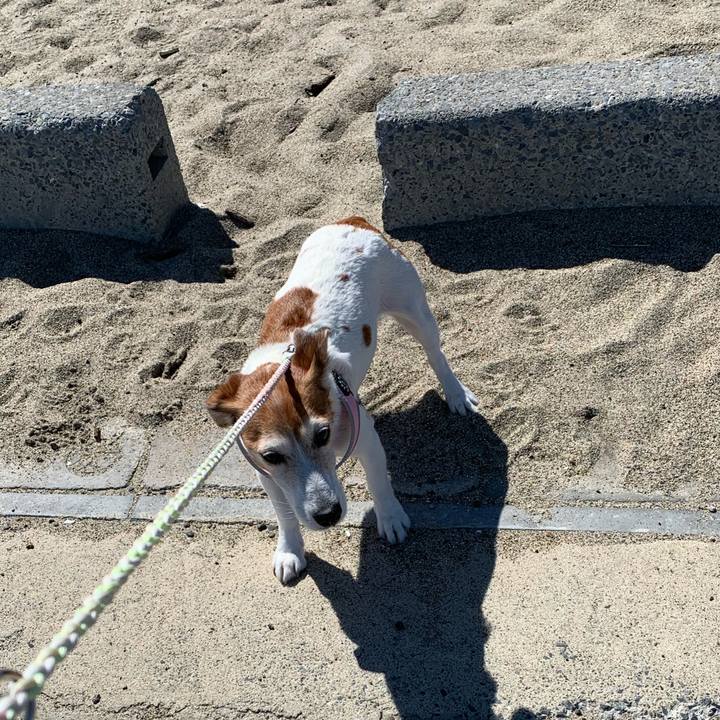 7a927283 a434 44a3 9f7c 868019ab2c32 1584179376945