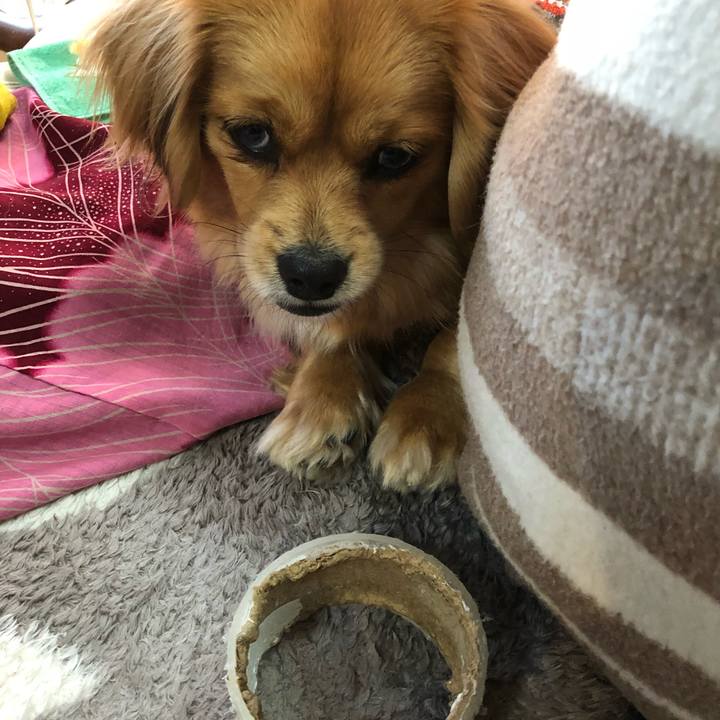 7a92c1bb 7d43 4212 8f84 ade696359568 1518992853811