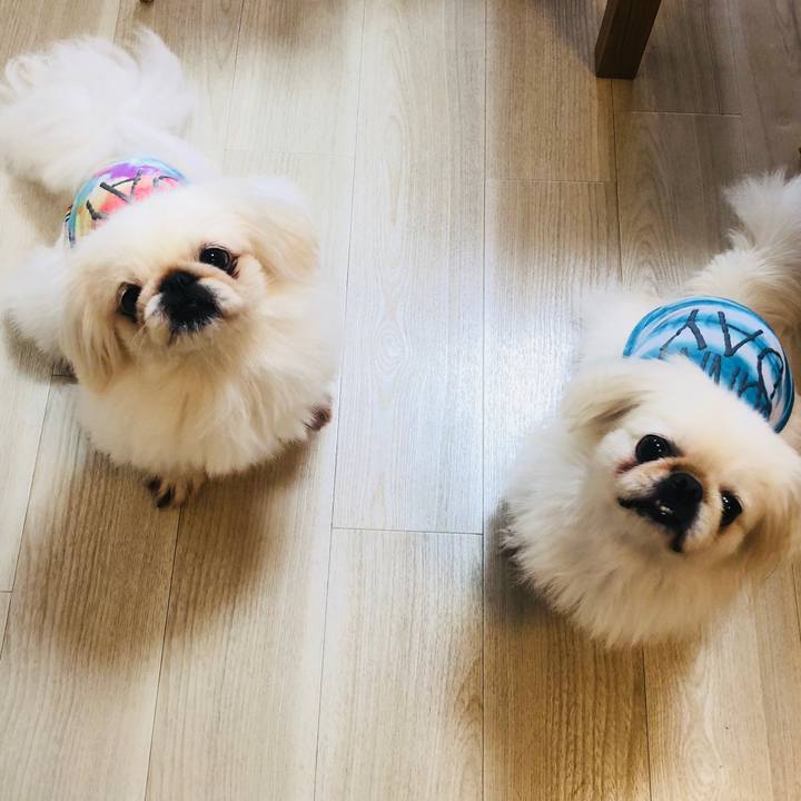 7a92c826 3987 491a 930d 3e2426cd2d75 1565483501856