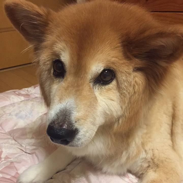 7a92ddc6 44f9 4143 be5e e85017b76581 1553176269683