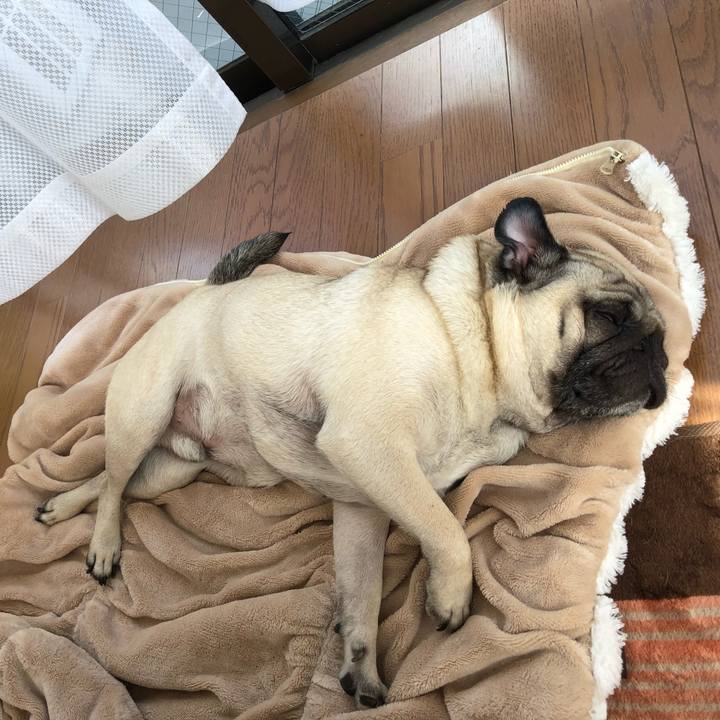 7a92ea0f 1736 4f5d 8c67 ac7404d365bb 1526399798457