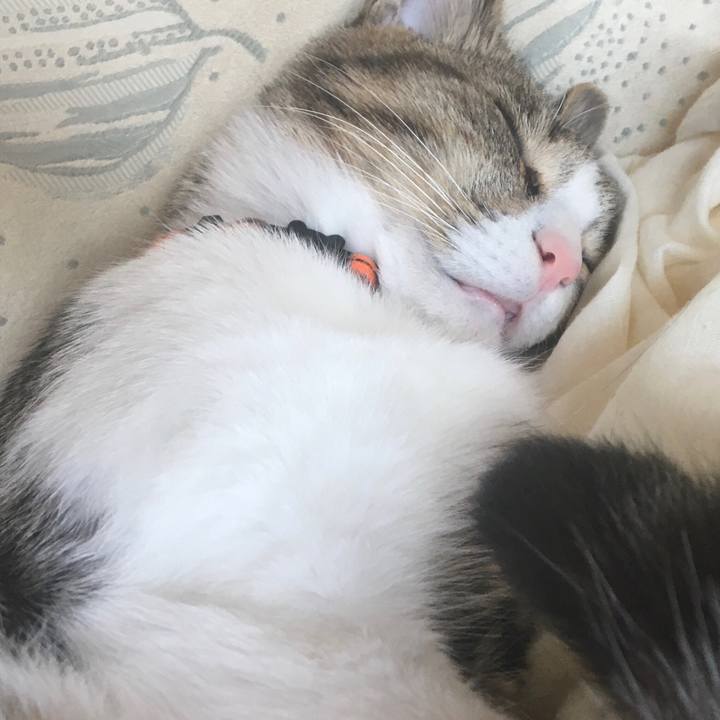 7a93bd64 d606 455d 94ab db2c16c89f9b 1670027170817