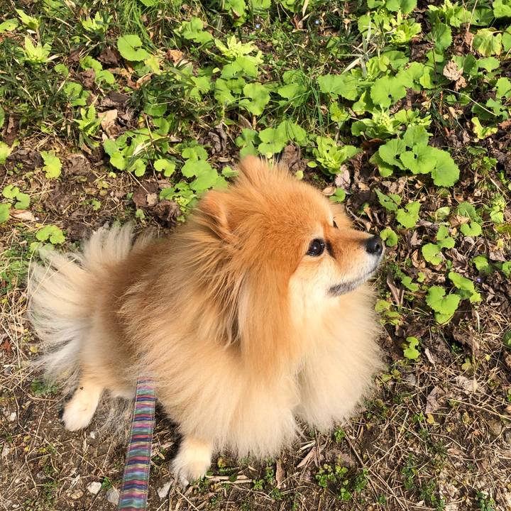 7a940733 3891 4c55 8077 2b5c8507f12b 1582595421331