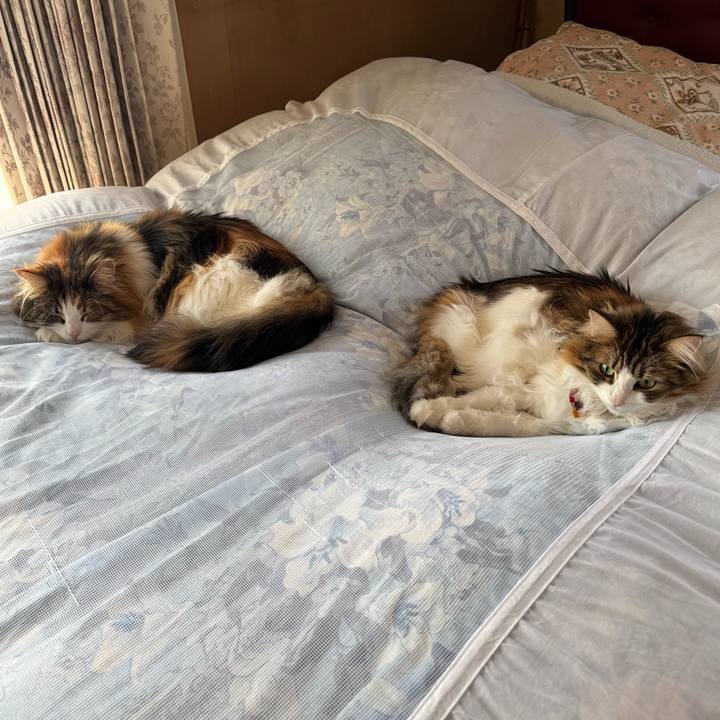 7a941efa bce5 442c 9a88 70de5bac11de 1774662943835