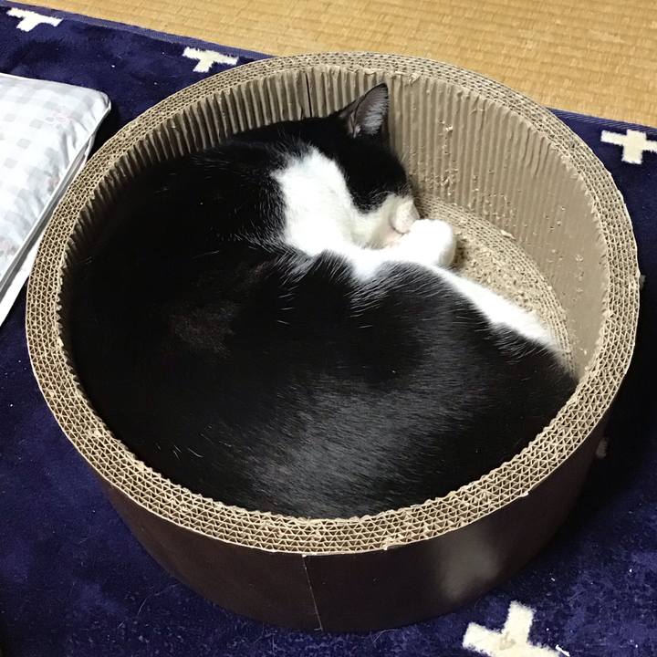 7a9443e3 5024 40e9 a011 f5c23a120934 1708684976021