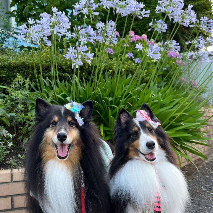 7a946a00 303d 4666 b2c8 1a21de98f57b 1657298655257