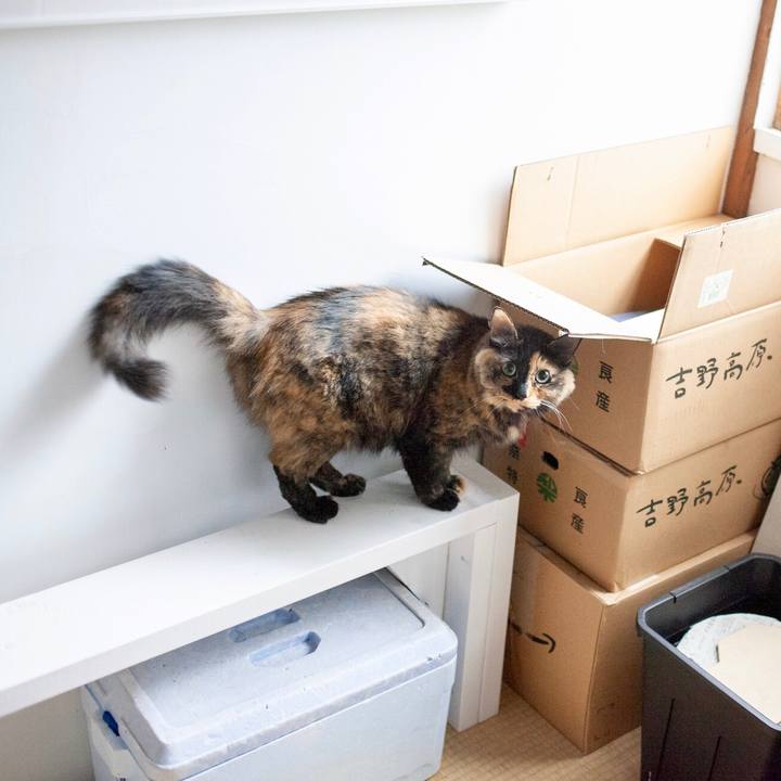 7a946d7c 1e6c 4775 acb8 cbf76a7a5e2b 1573277870830