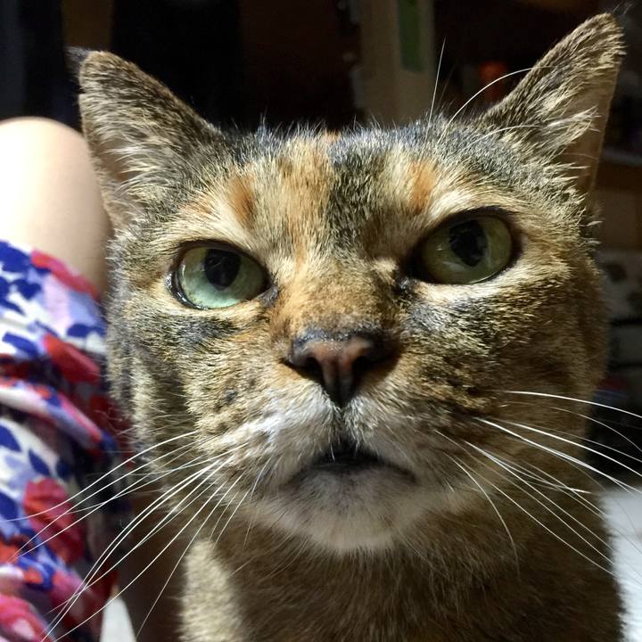 7a9517ed 8acc 4639 8d1a 46566c93a210 1528798827934