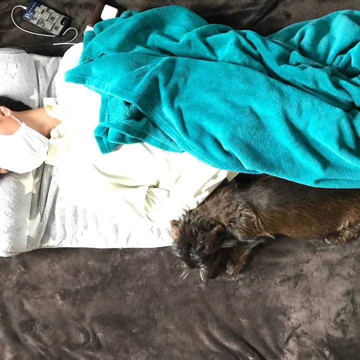 7a95366c 04d9 470e bf8b fff880b203a9 1552192381879