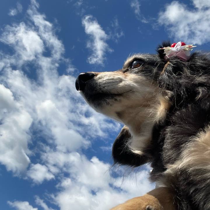 7a953a5e 745a 4750 a21f a1a6f0bcddc6 1650065702183