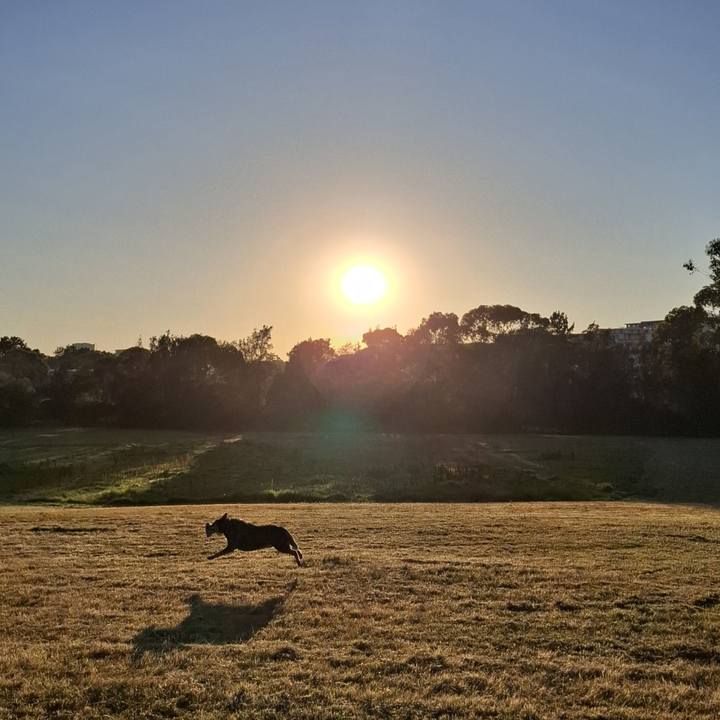 7a954b6a 1886 4465 bb5c b4f3ad5bfdd3 1764886285646