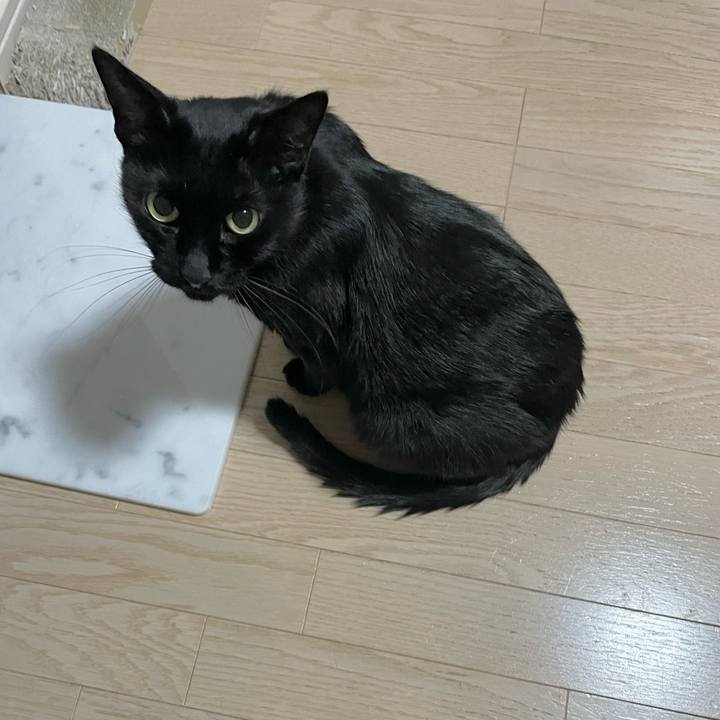 7a95632f f7d3 4c09 bb1c 0ab8f7d64b50 1696510273068