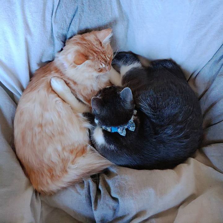 7a958a24 479e 4e6c 813f e7ff218f9091 1667704485114