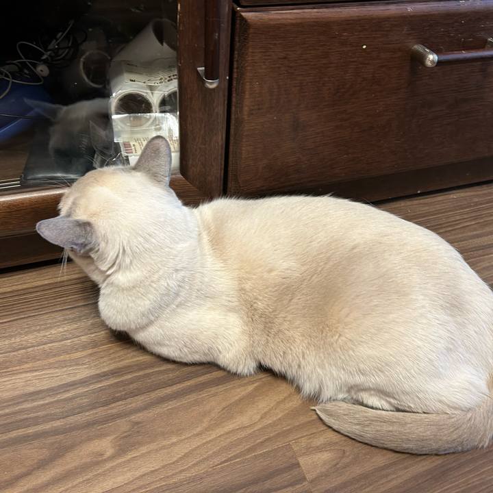 7a95b865 9767 49b2 9271 f5fd3d7972bf 1738567557725