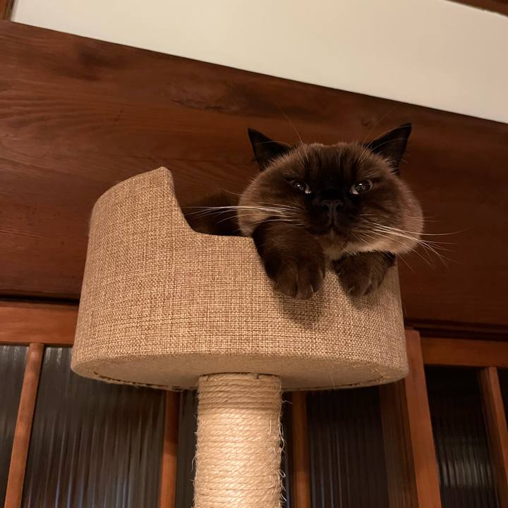 7a95b8c6 1704 4306 bc6b 9b48ebf9b10b 1638453795919