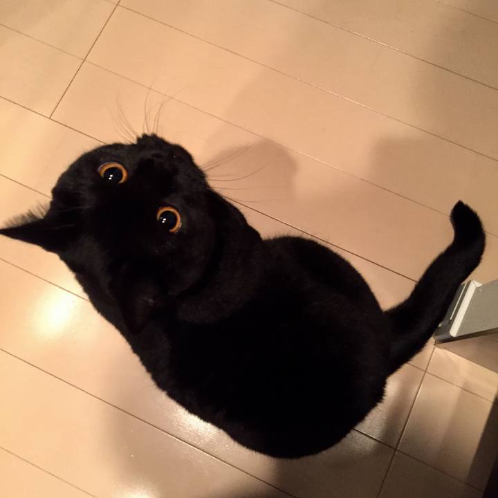 7a9635eb 1bc1 4541 9439 0ae7e9867853 1574767746675