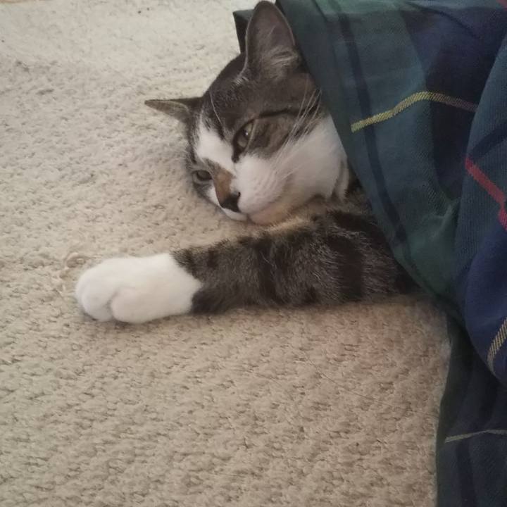 7a96e18c 5dc9 4390 81aa 4dee8d01795d 1602504355163