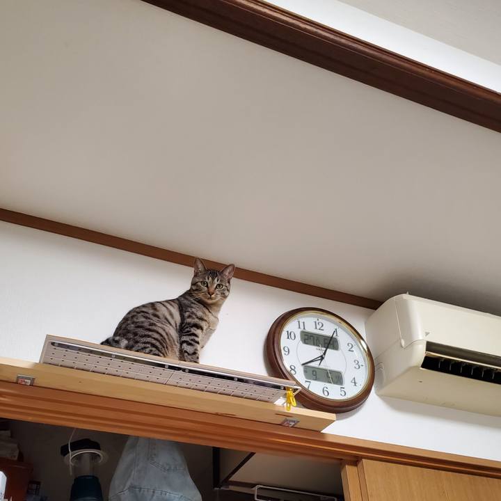 7a96ee53 a66a 450d a13d bb32b8500ed3 1694012358914