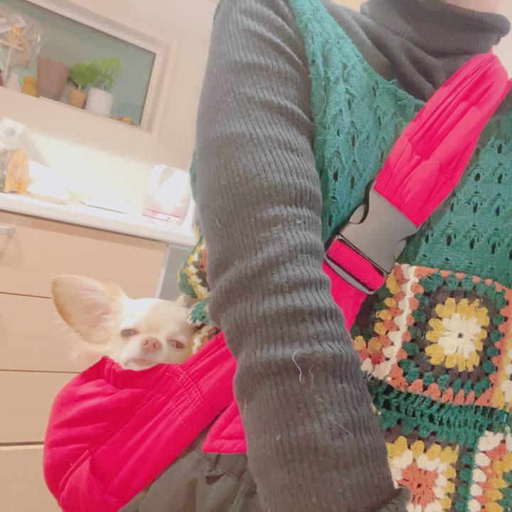 7a9727de 0530 416b b75a e23a1a380dfb 1702888798852