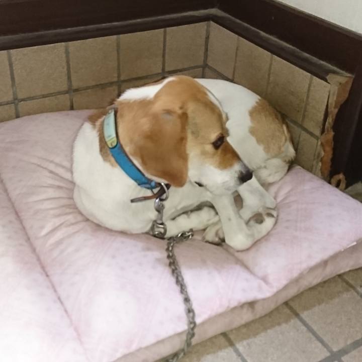 7a972bd5 e142 4a08 b08b ca3d20e22a13 1562850089674