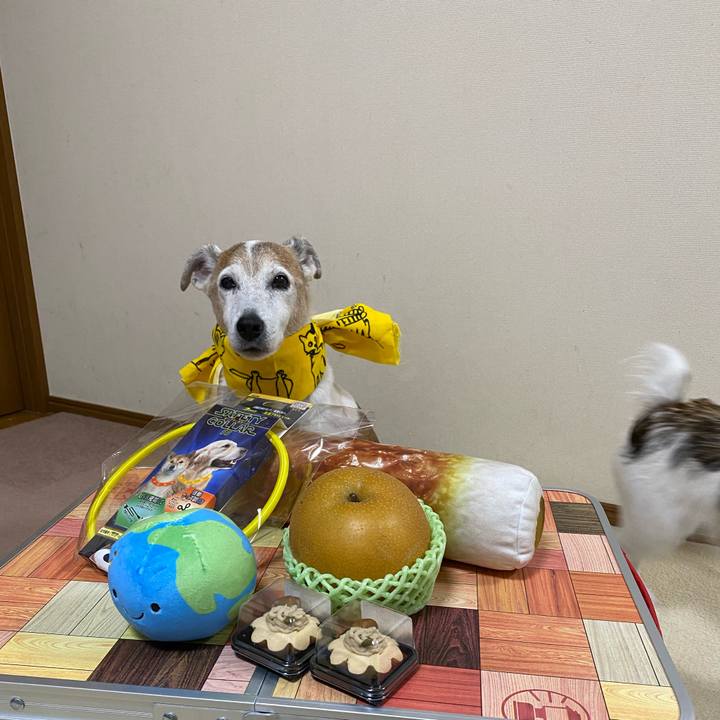 7a9761f9 d187 4cb8 b275 18a186497486 1633260591286