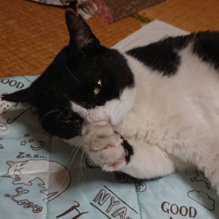 7a977c88 8dee 4ec1 8148 057b5188fdb0 1592303853031