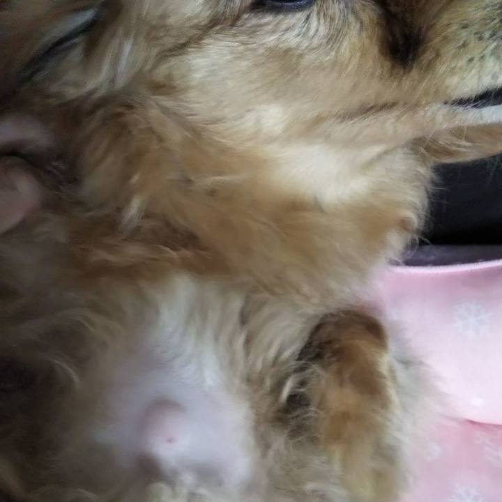 7a97b02e 4dee 4fc5 bda6 74265b846c72 1591960643119