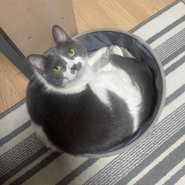 7a97b8e1 347e 4f97 84b6 396232abbf4d 1723642858621