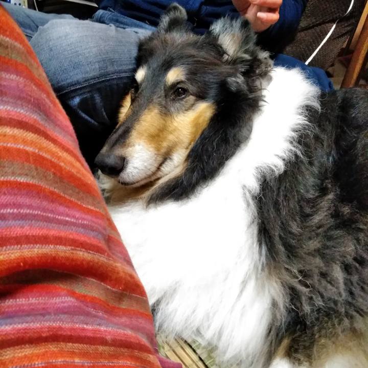 7a97c08f 42a4 41b6 9e40 2bcfa3b195a5 1522073861420