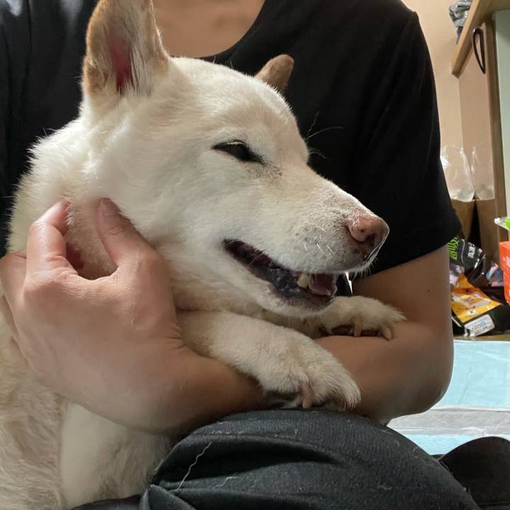 7a984546 5ab4 4147 958e 20f205baf34d 1636439139482