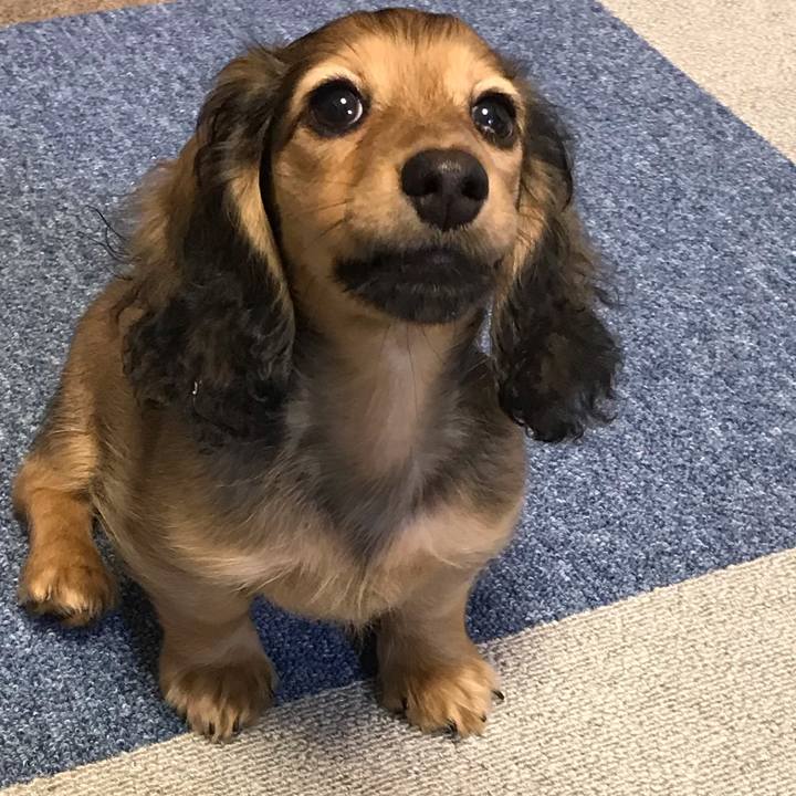 7a984cf5 1c54 441a 9176 9b8865c41300 1612517361131